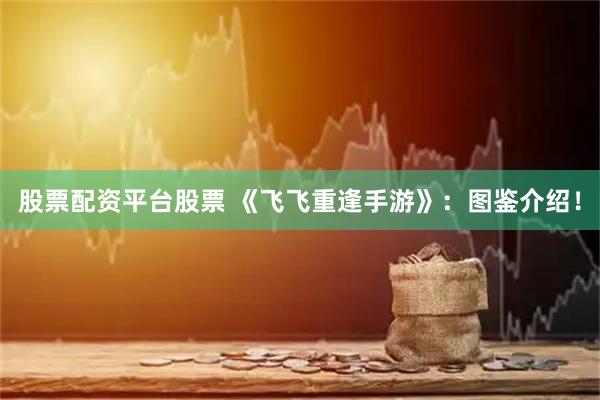 股票配资平台股票 《飞飞重逢手游》：图鉴介绍！