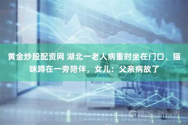 黄金炒股配资网 湖北一老人病重时坐在门口，猫咪蹲在一旁陪伴，女儿：父亲病故了