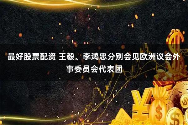 最好股票配资 王毅、李鸿忠分别会见欧洲议会外事委员会代表团
